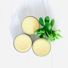 Load image into Gallery viewer, Aloe Beautiful Lotion Bar
