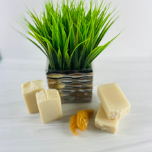 Load image into Gallery viewer, Wadadli Sea Moss Soap